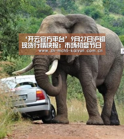 ‘开云官方平台’9月27日沪铜现货行情快报:市场初显节日氛围 现货全面贴水(图4) 开云官方平台