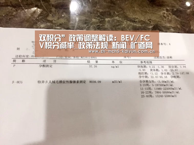 双积分”政策调整解读:BEV/FCV积分减半_政策法规_新闻_矿道网‘开云官方平台’(图1) 开云品牌