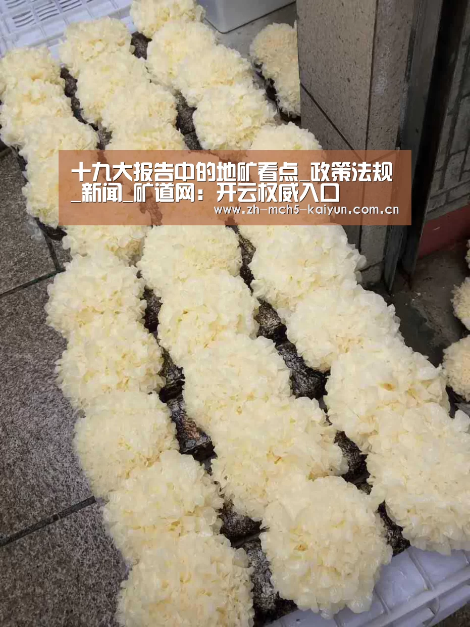 十九大报告中的地矿看点_政策法规_新闻_矿道网:开云权威入口(图1) 开云中国官网
