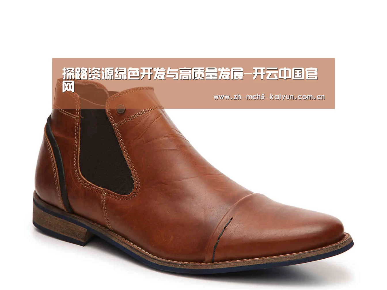 开云权威入口