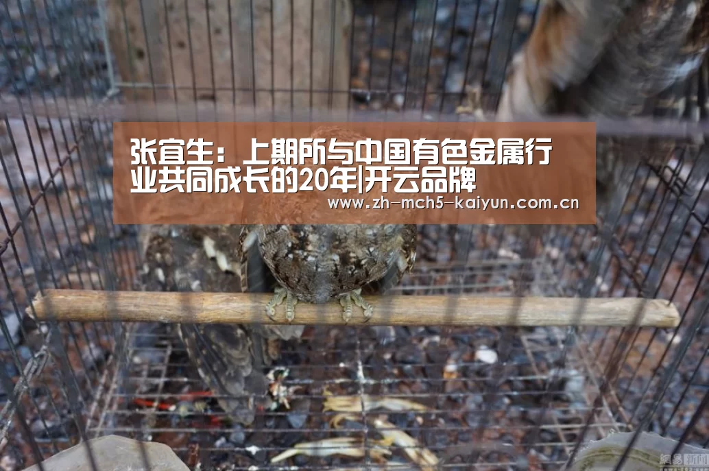 开云品牌