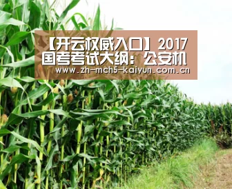 开云官方平台