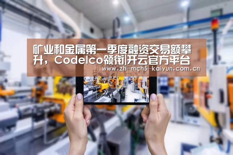 开云权威入口