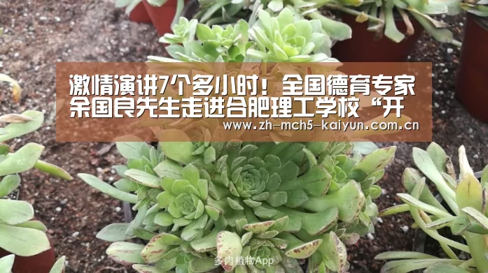 开云品牌