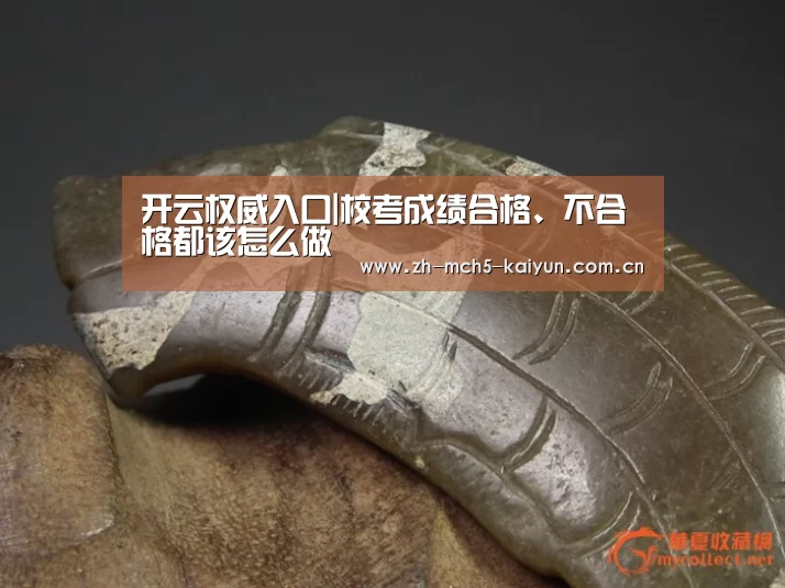 开云权威入口|校考成绩合格、不合格都该怎么做(图1) 开云官方平台