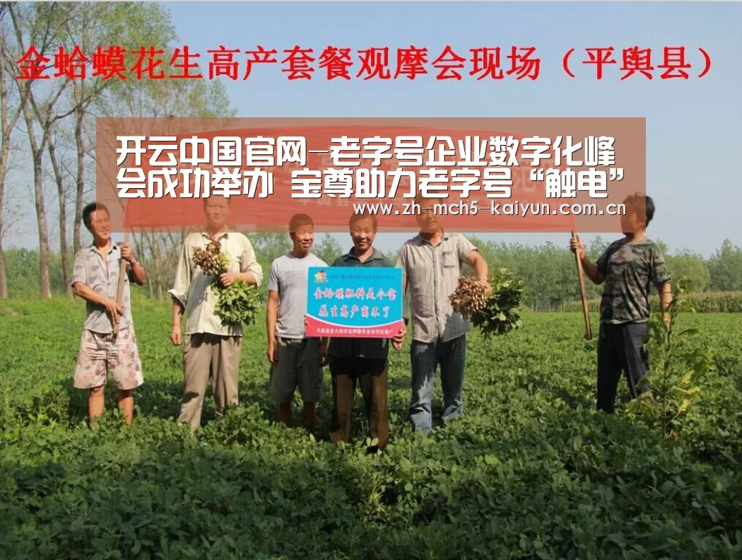 开云中国官网-老字号企业数字化峰会成功举办 宝尊助力老字号“触电”(图1) 开云综合服务